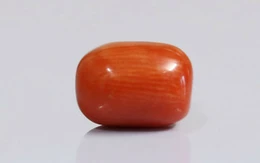 Red Coral - CC 5645 (Origin - Italy) Limited - Quality