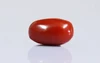 Red Coral - CC 5649 (Origin - Italy) Limited - Quality