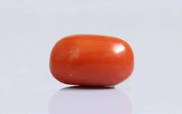 Red Coral - CC 5659 (Origin - Italy) Limited - Quality