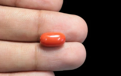 Red Coral - CC 5665 (Origin - Italy) Limited - Quality