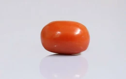 Red Coral - CC 5666 (Origin - Italy) Limited - Quality