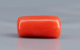 Red Coral - 3.91 Carat Limited - Quality CC 5713
