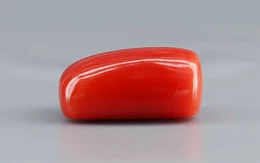 Red Coral - 5.94 Carat Limited - Quality CC 5714