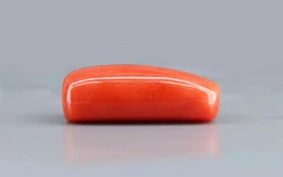 Red Coral - 11.74 Carat Limited - Quality CC 5715