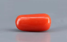 Red Coral - 3.69 Carat Limited - Quality CC 5717