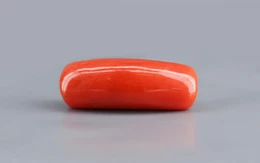 Red Coral - 11.19 Carat Limited - Quality CC 5720