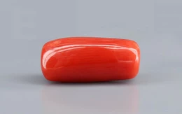 Red Coral - 8.21 Carat Limited - Quality CC 5723