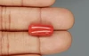 Red Coral - 8.21 Carat Limited - Quality CC 5723