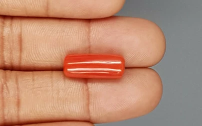 Red Coral - 9.18 Carat Limited - Quality CC 5728