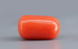 Red Coral - 4.63 Carat Limited - Quality CC 5730