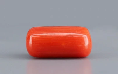Red Coral - 3.93 Carat Limited - Quality CC 5731