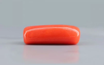 Red Coral - 9.77 Carat Limited - Quality CC 5735