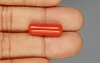Red Coral - 9.77 Carat Limited - Quality CC 5735