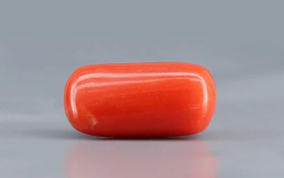 Red Coral - 3.69 Carat Limited - Quality CC 5736
