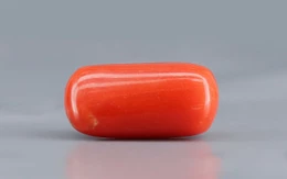 Red Coral - 3.69 Carat Limited - Quality CC 5736