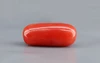Red Coral - 8.08 Carat Limited - Quality CC 5737