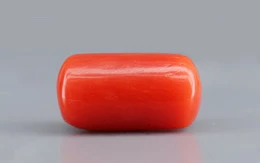 Red Coral - 3.7 Carat Limited - Quality CC 5738