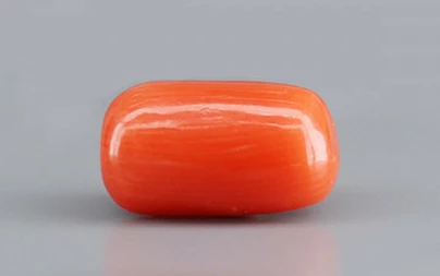 Red Coral - 3.95 Carat Limited - Quality CC 5739