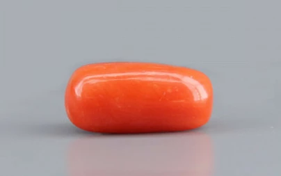 Red Coral - 3.69 Carat Limited - Quality CC 5741