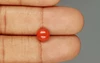 Red Coral - 1.72 Carat Limited - Quality CC 5749