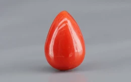 Red Coral - 1.84 Carat Limited - Quality CC 5751