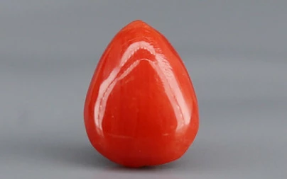 Red Coral - 1.23 Carat Limited - Quality CC 5754