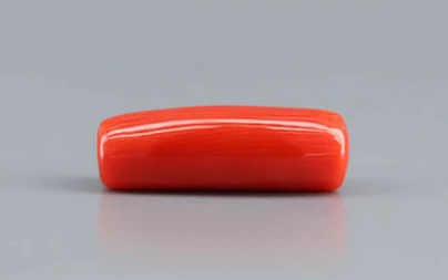 Italian Red Coral - 8.34 Carat Prime  Quality CC-5767