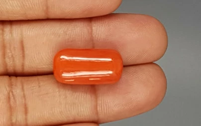 Italian Red Coral - 18.28 Carat Limited-Quality CC-5786