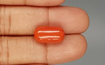 Italian Red Coral - 10.18 Carat Limited-Quality CC-5787