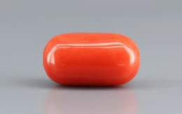 Italian Red Coral - 10.18 Carat Limited-Quality CC-5787