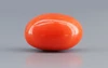 Italian Red Coral - 9.2 Carat Limited-Quality CC-5788