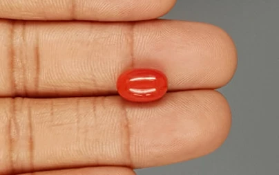 Italian Red Coral - 4.26 Carat Limited-Quality CC-5792