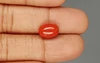 Italian Red Coral - 4.81 Carat Limited-Quality CC-5793