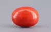 Italian Red Coral - 4.08 Carat Limited-Quality CC-5803