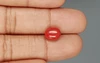 Italian Red Coral - 3.3 Carat Limited-Quality CC-5804