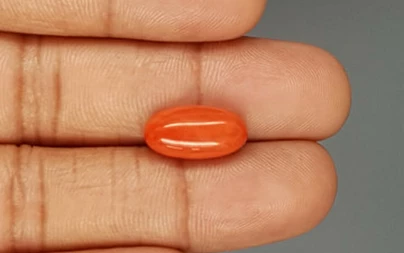 Italian Red Coral - 6.36 Carat Limited-Quality CC-5807