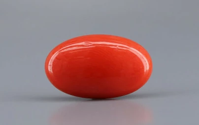 Italian Red Coral - 4.23 Carat Limited-Quality CC-5810