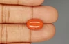 Italian Red Coral - 4.55 Carat Limited-Quality CC-5813