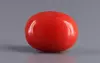 Italian Red Coral - 3.88 Carat Limited-Quality CC-5823