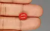 Italian Red Coral - 3.88 Carat Limited-Quality CC-5823