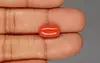 Italian Red Coral - 4.56 Carat Limited-Quality CC-5828