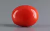 Italian Red Coral - 3.4 Carat Limited-Quality CC-5832