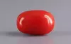 Italian Red Coral - 4.37 Carat Limited Quality CC-5836
