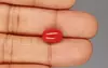 Italian Red Coral - 4.37 Carat Limited Quality CC-5836