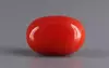 Italian Red Coral - 3.44 Limited Quality CC-5837