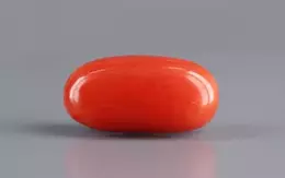 Italian Red Coral - 5.68 Carat Limited Quality CC-5854