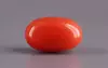 Italian Red Coral - 5.37 Carat Limited Quality CC-5865