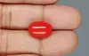 Japanese Red Coral - 7.37 Carat Rare Quality CC-5874