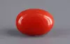 Japanese Red Coral - 5.86 Carat Rare Quality CC-5876