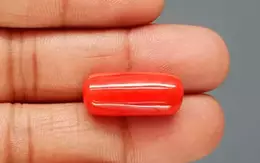 Italian Red Coral - 18.14 Carat Limited Quality CC-5878